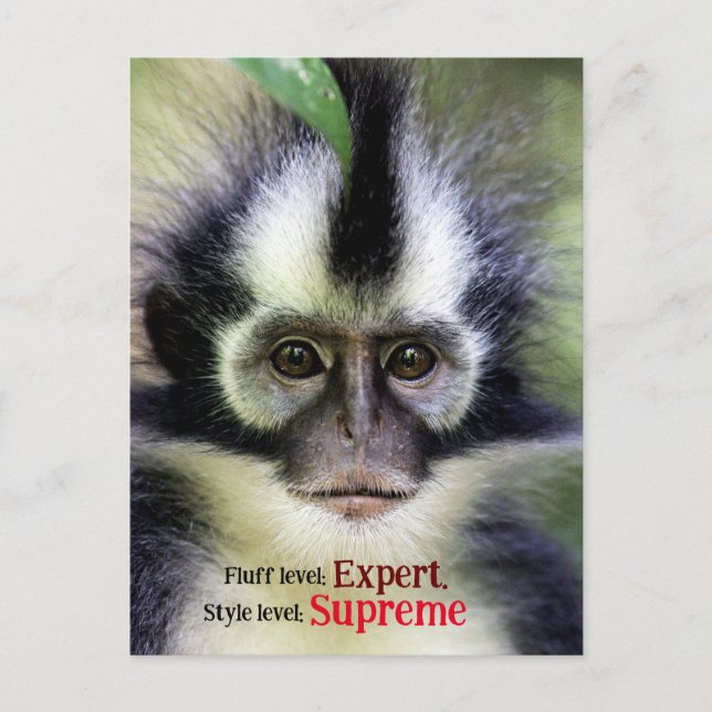 Fluffy Thomas Löv monkey Helg Vykort (Framsida)