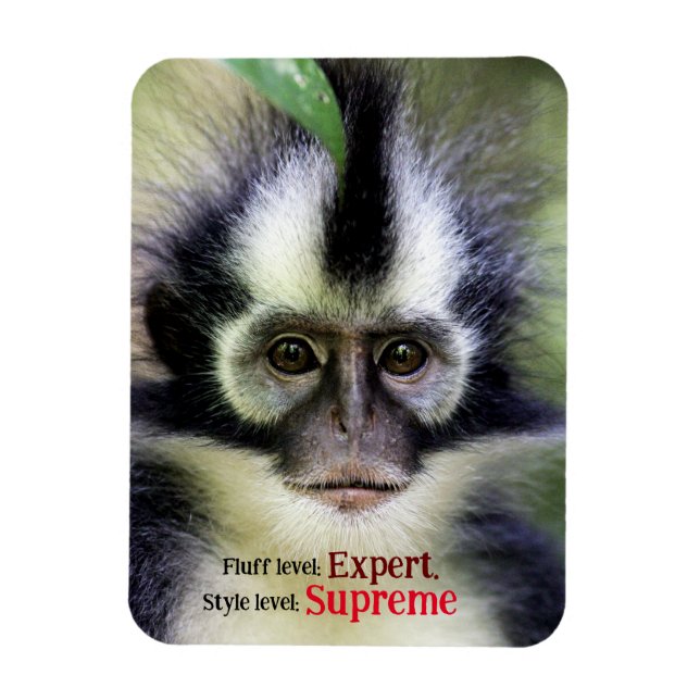 Fluffy Thomas Löv monkey Magnet (Vertikal)