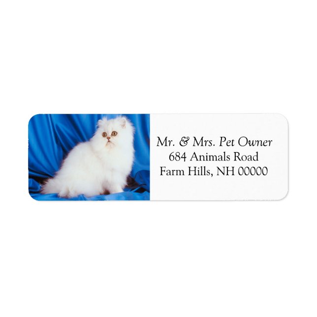 Fluffy White Cat Returetiketter Stickers Returadress Etikett (Framsidan)