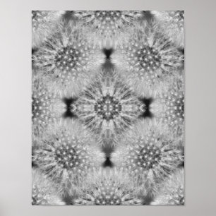 Fluffy White Dandelions Abstrakt Natur Poster