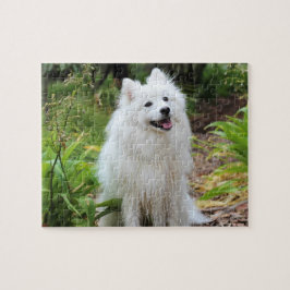 Fluffy White Spitz Puppy Hund Pussel