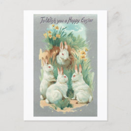 Fluffy White Vintage Easter Bunnies Helg Vykort