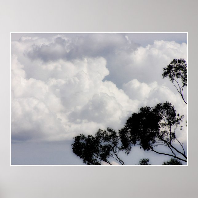 Fluffy Whites Poster (Framsidan)