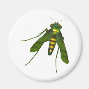 fluga magnet