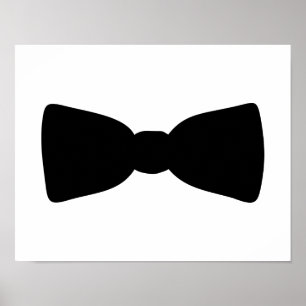 Fluga Poster