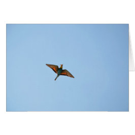 Flugsnappare Hälsningskort