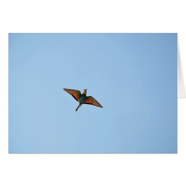Flugsnappare Hälsningskort (Framsidan Horizontal)