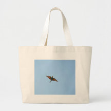 Flugsnappare