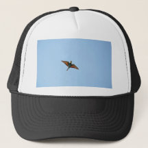 Flugsnappare