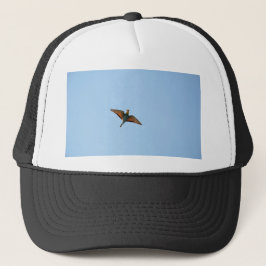 Flugsnappare Keps