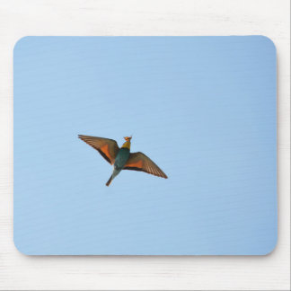Flugsnappare Musmatta
