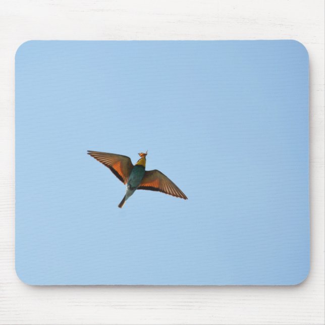 Flugsnappare Musmatta (Framsidan)