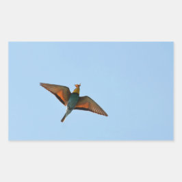 Flugsnappare Rektangulärt Klistermärke