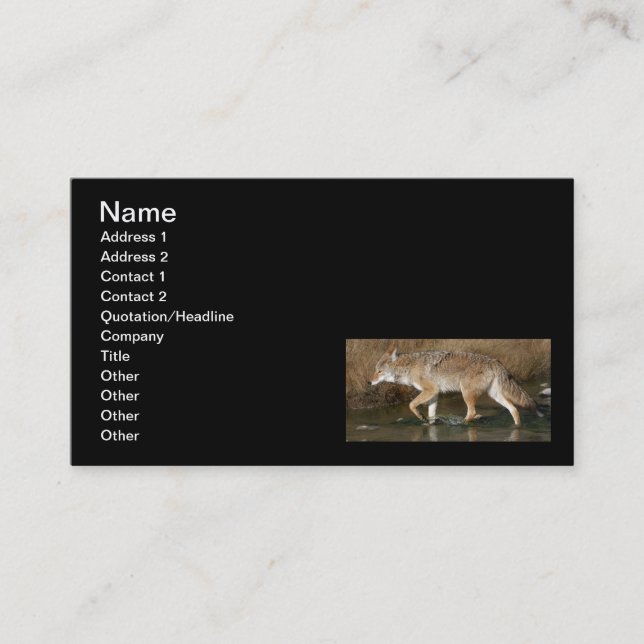 Fluid rörelse visitkort (Framsida)