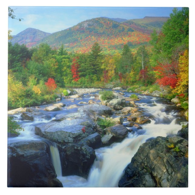 Flume Falls | Adirondack-bergen Kakelplatta (Framsidan)