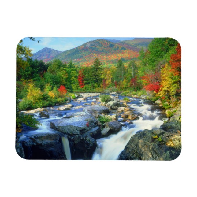 Flume Falls | Adirondack-bergen Magnet (Horisontell)
