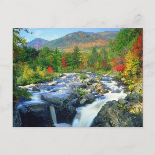 Flume Falls | Adirondack-bergen Vykort (Framsida)