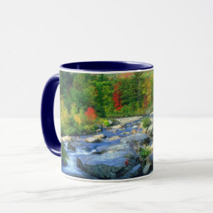 Flume Falls Adirondack Mountains Mugg