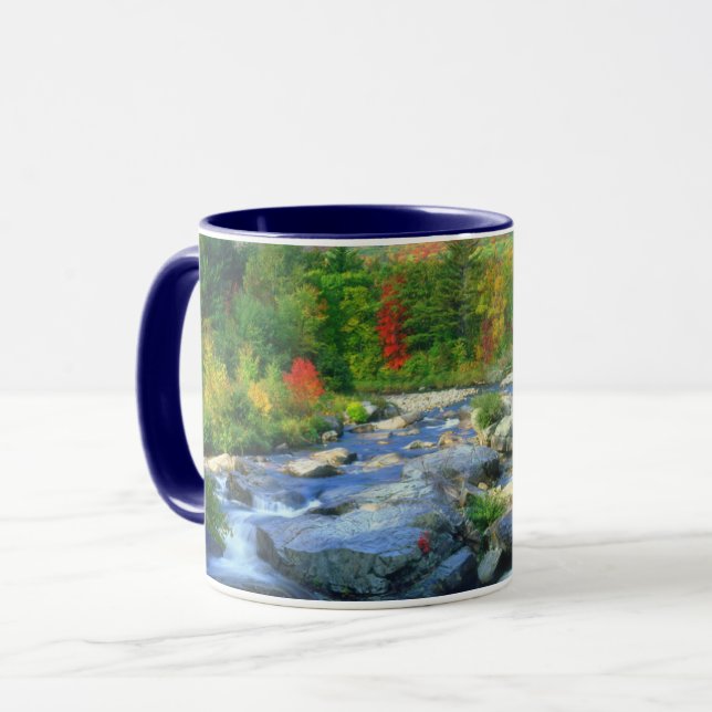 Flume Falls |  Adirondack Mountains Mugg (Framsida vänster)