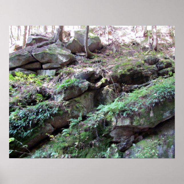 Flume Gorge Poster (Framsidan)