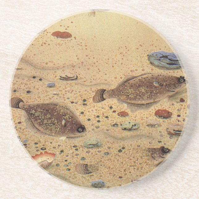 Flundror eller Platt Fisk, Gammaldags Marin Oceanl Underlägg Sandsten (Framsidan)