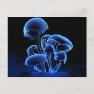 Fluorescencevykort Vykort
