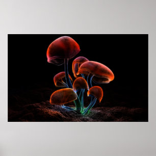 Fluorescens (2009) poster