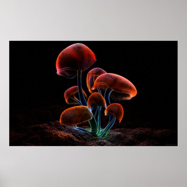 Fluorescens (2009) poster (Framsidan)