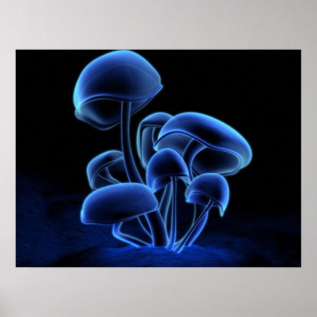 Fluorescens Poster (Framsidan)