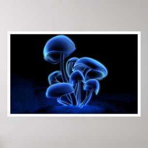 Fluorescens Poster