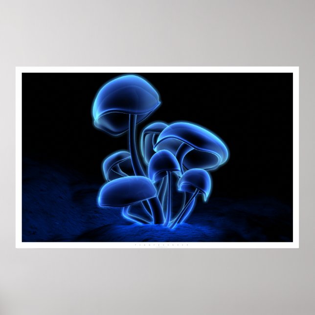 Fluorescens Poster (Framsidan)