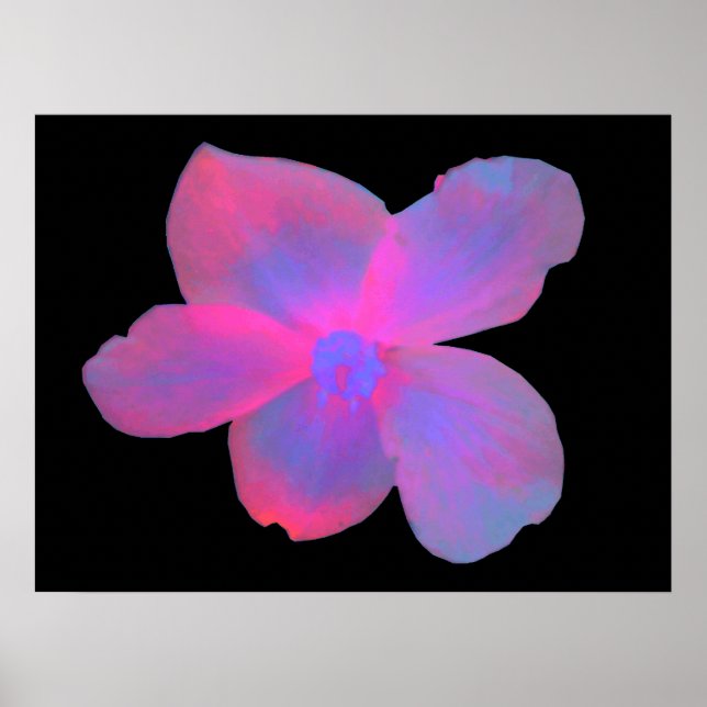 Fluorescent Begonia Flower Skriv ut Poster (Framsidan)