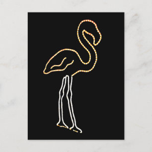 Fluorescent Flamingo Vykort