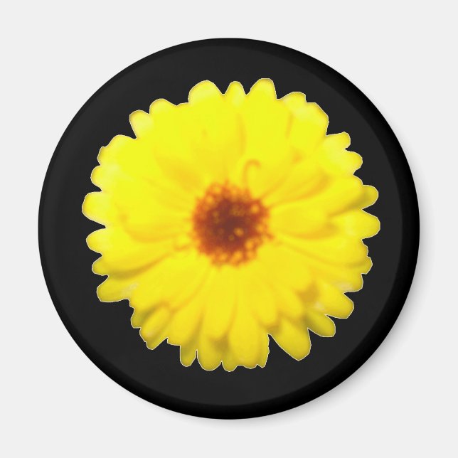 Fluorescent Marigold Magnet (Framsidan)