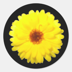 Fluorescent Marigold Sticker Runt Klistermärke