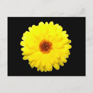 Fluorescent Marigold-vykort Vykort