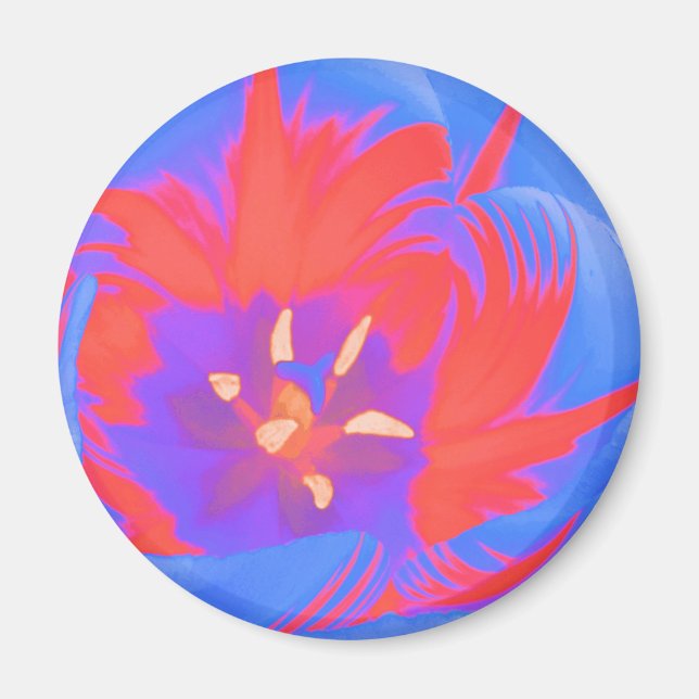 Fluorescent Tulip Magnet (Framsidan)