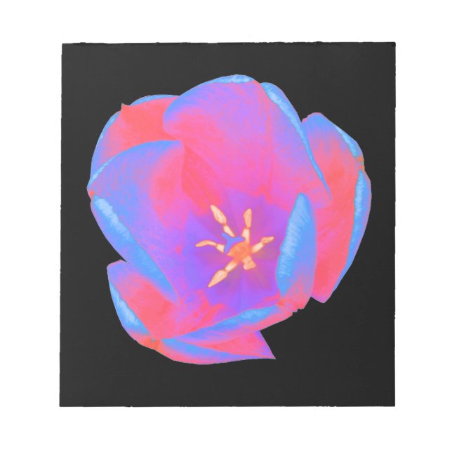 Fluorescerande Anteckningsblock (Framsida)