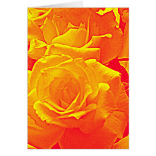 fluorescerande orange ro hälsningskort