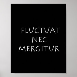 Flupunkat nec mergitur poster