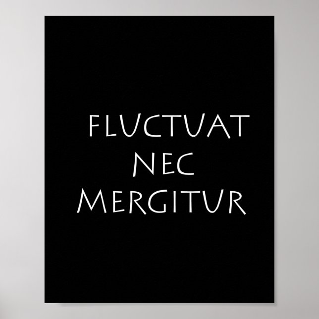 Flupunkat nec mergitur poster (Framsidan)
