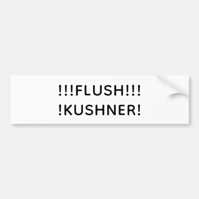 FLUSH KUSHNER Hankamer Artjunkhaus Splash-Art Fun! Bildekal (Framsidan)