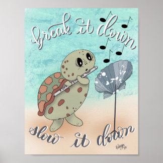 Flute Spelturtle Poster