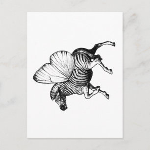 Flutter Zebra Vykort