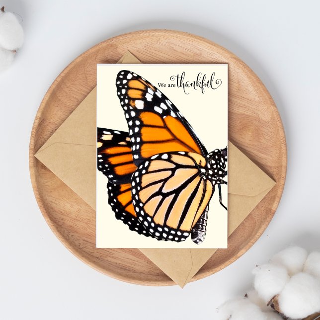 Fluttering Gratitude: Monarch Butterfly Tack Kort (The Butterfly Studio
We Are Thankful Monarch Butterfly Thank You Card)
