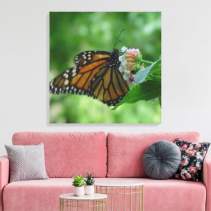 Fluttering Monarch Butterfly Canvas