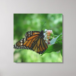 Fluttering Monarch Butterfly Canvas