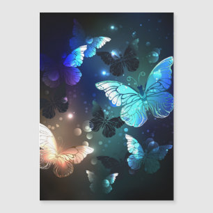 Fluttering Night Butterfly