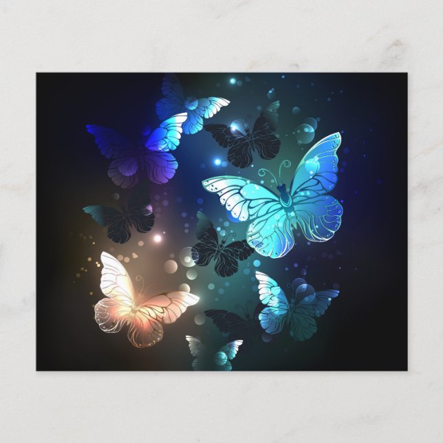 Fluttering Night Butterfly Flygblad (Framsidan)