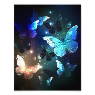 Fluttering Night Butterfly Fototryck